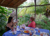 Having breakfast in a casa garden, Cuba
