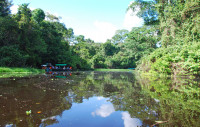 The serene waters of an Amazon backwater, Amazonian Peru 