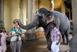 Receiving an elephant blessing in the temple, Madurai - Tamil Nadu