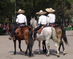 Policemen on horseback, Mexico City