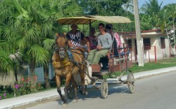 Horses carts are very common on Cuban streets