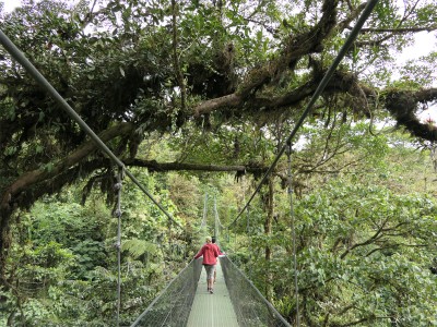 Some of the hanging bridges in the Monteverde Cloud Forest were over 230m