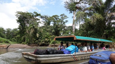 Cruising the river from La Pavona to Tortuguero village and National Park.