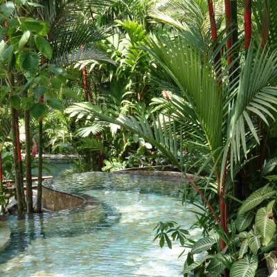 The Tabacon Hot Springs are set in fabulous tropical gardens.
