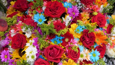 Colombia is the World's 2nd largest exporter of cut flowers.
