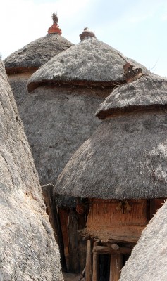  A Konso  village