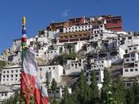 Thiksey monastery, Ley