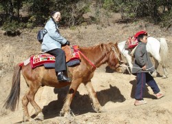 You can ride a horse or walk up to the Tiger Nest Monastery - Paro, Bhutan