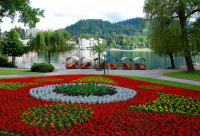 Flower gardens in the park,  Lake Bled (Slovenia)