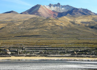 Volcanoes and other geo-thermal landscapes are a feature on this trip.     