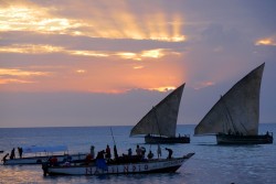 Traditional sails in the sunset, Stone Town