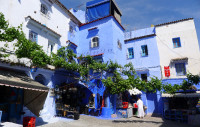 The buildings of Chefchaouen are painted in traditional blue & white. 