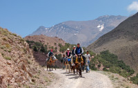 Hike or ride mules up to the Tizi ném Zik Pass (2,489m),  Toubkal 