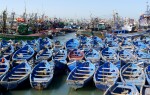 Fishing harbour, Essaouira (Morocco) 