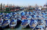 Fishing harbour, Essaouira (Morocco) 