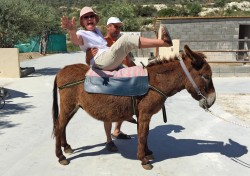 Donkey riding in Cyprus