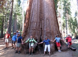 Mariposa Sequoia Grove, CA