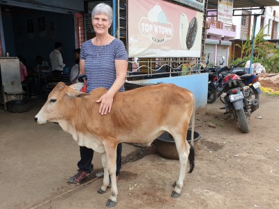 Sue, making friends with a street calf.
